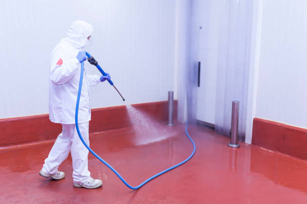 Best Sidewalk and Walkway Cleaning  in Lakefield, MN