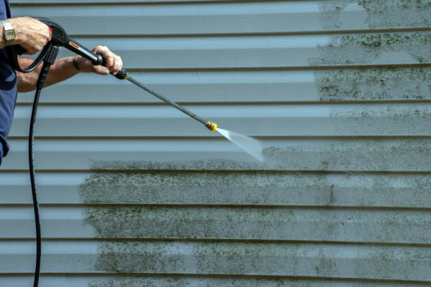 Best Gutter Cleaning  in Lakefield, MN
