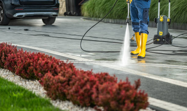 Best Solar Panel Cleaning  in Lakefield, MN